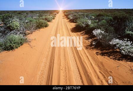 Route du désert avec pistes de minibus dans l'Outback Banque D'Images