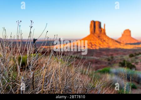 Vue floue sur l'arrière-plan des célèbres buttes de Monument Valley au coucher du soleil lumière colorée et vive en Arizona avec des roches orange et le premier plan de plantes sèches Banque D'Images