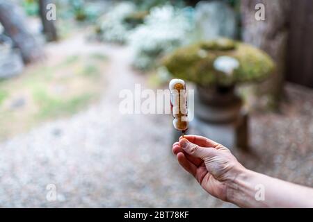 Jardin de rochers japonais traditionnel et main d'homme tenant le dango grillé dango doux au riz mochi dessert sur brochette avec lanterne en pierre en arrière-plan Banque D'Images