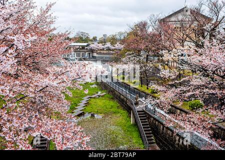 Quartier de Kyoto au printemps avec fleurs de cerisier et canal de la rivière du lac Biwa en avril au Japon pendant la pluie et les bâtiments en arrière-plan élevé Banque D'Images