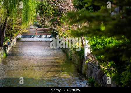 Kyoto kiyamachi-dori quartier rue au printemps avec l'eau de la rivière Takase canal et le pont au Japon par jour ensoleillé avec satsuman oranges fruits sur arbre Banque D'Images