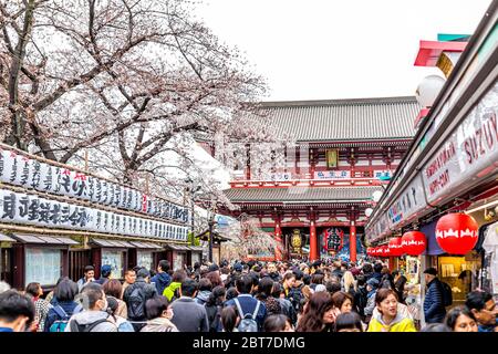 Tokyo, Japon - 30 mars 2019 : quartier d'Asakusa avec entrée de la porte du temple Sensoji et lanternes d'architecture rouge avec foule de personnes sur le marais de Nakamise Banque D'Images