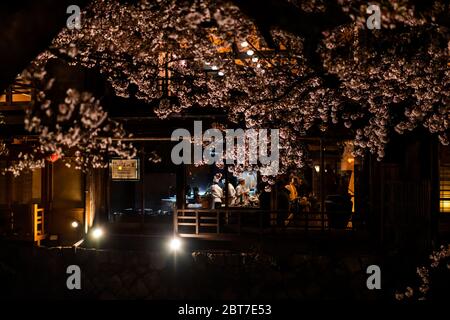 Kyoto, Japon - 9 avril 2019 : Gion au printemps, la cerise fleurisse pendant la nuit sombre et les gens assis manger dans le restaurant Namisato izakaya par éclairé Banque D'Images