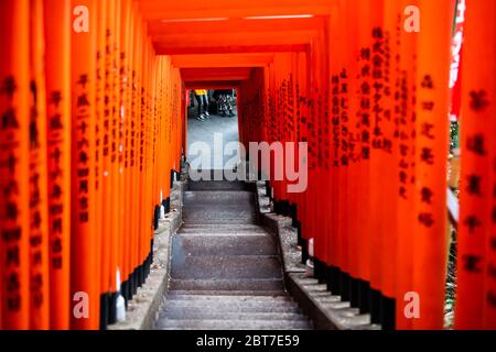 Tokyo, Japon - 31 mars 2019 : HIE entrée porte sanctuaire escaliers chemin vers le bas dans le district d'Akasaka avec des portes rouges de jinja dans le quartier de Chiyoda Banque D'Images