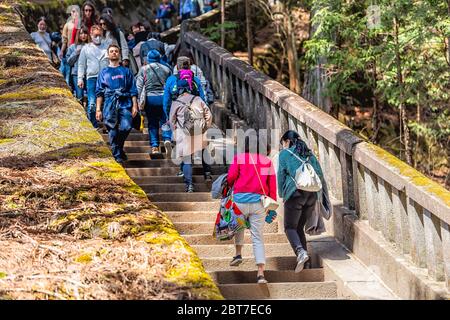 Nikko, Japon - 5 avril 2019 : beaucoup de gens marchant sur un chemin de pierre sentier à travers la forêt sur les marches escaliers à Tochigi menant au temple de Toshogu Okumiya H. Banque D'Images