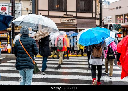 Kyoto, Japon - 9 avril 2019 : de nombreuses personnes se regroupent avec des parasols et poncho traversant la rue pendant la journée pluvieux nuageux vers le temple Kiyomizu-dera Banque D'Images