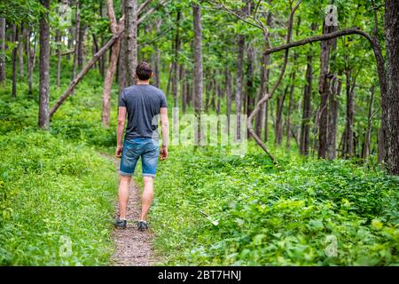 Sentier de randonnée de la nature Appalachienne avec homme randonnée dans les montagnes Shenandoah Blue Ridge avec herbe verte végétation luxuriante sur le chemin Banque D'Images