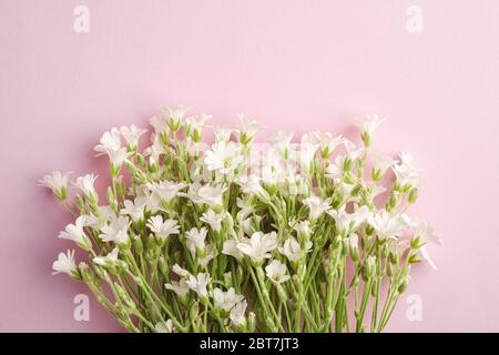 Souris blanche à l'oreille fleurs de chiche sur fond rose, vue du dessus de l'espace de copie Banque D'Images