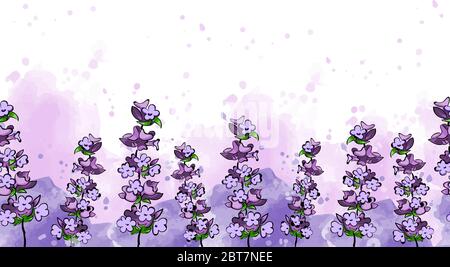 Magnifique horizontale violet lavande fleurs rétro fond sur blanc Illustration de Vecteur