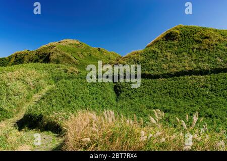 Paysage naturel du Xiaoyoukeng au parc national de Yangmingshan, Taipei, Taïwan Banque D'Images