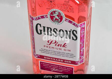 KIEV, UKRAINE - 28 MARS 2020 : bouchon de Gibsons Premium rose en bouteille sur fond blanc. Le gin est une boisson alcoolique distillée qui en tire Banque D'Images