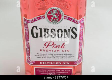 KIEV, UKRAINE - 28 MARS 2020 : bouchon de Gibsons Premium rose en bouteille sur fond blanc. Le gin est une boisson alcoolique distillée qui en tire Banque D'Images