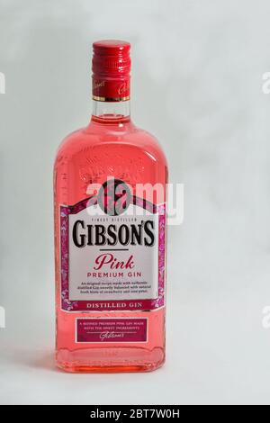 KIEV, UKRAINE - 28 MARS 2020 : bouchon de Gibsons Premium rose en bouteille sur fond blanc. Le gin est une boisson alcoolique distillée qui en tire Banque D'Images