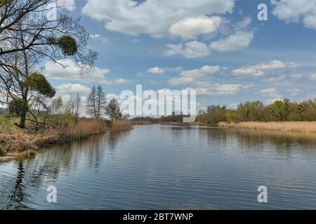 Calme Ros berges au début du printemps, Ukraine Banque D'Images