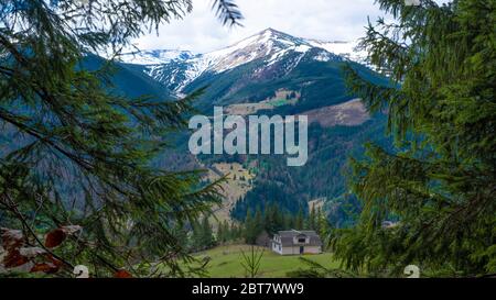 Les montagnes enneigées ont vue dans l'écart entre les arbres verts au début du printemps. Petite maison sur la prairie. Banque D'Images