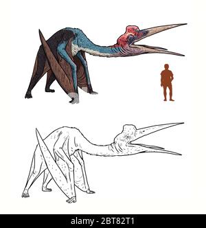Pterosaur préhistorique Quetzalcoatlus comparé à l'humain. Comparaison entre dinosaure et humain. Page de coloriage Dino. Banque D'Images