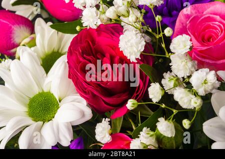 Arrière-plan pour une carte de vœux - beau bouquet cadeau de diverses fleurs d'été décoratives colorées Banque D'Images