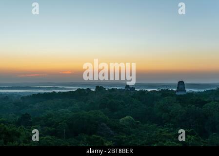La forêt tropicale sombre et mystérieuse de Peten juste avant le lever du soleil, la ruine maya de Tikal, Guatemala. Banque D'Images