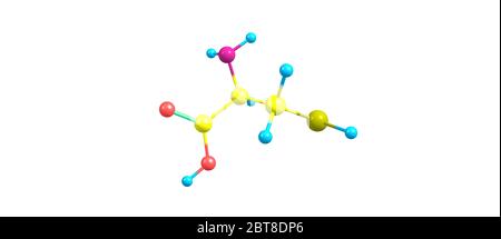 La cystéine ou Cys est un acide aminé protéinogène semi-essentiel dont la formule est HO2CCHNH2CH2SH. illustration 3d Banque D'Images