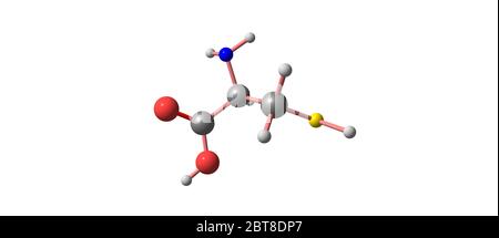 La cystéine ou Cys est un acide aminé protéinogène semi-essentiel dont la formule est HO2CCHNH2CH2SH. illustration 3d Banque D'Images