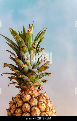 Ananas sur un fond lumineux avec espace de copie Banque D'Images