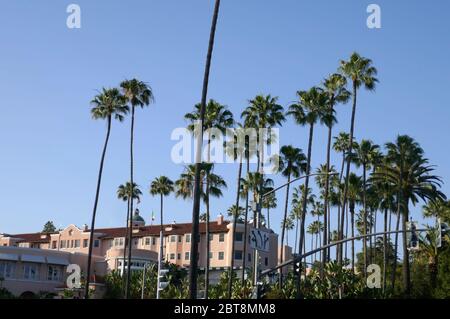 Beverly Hills, Californie, Etats-Unis 23 mai 2020 UNE vue générale de l'atmosphère de palmtrees et Beverly Hills Hotel le 23 mai 2020 à Beverly Hills, Californie, Etats-Unis. Photo par Barry King/Alay stock photo Banque D'Images