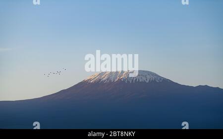 Vue sur le mont Kilimanjaro depuis le camp de safari de Kibo au parc national d'Amboseli. Le mont Kilimanjaro est un volcan en sommeil en Tanzanie Banque D'Images