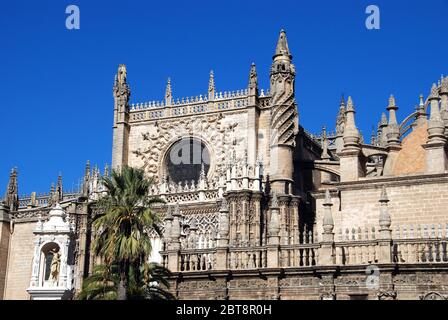 Vue sur la cathédrale Sainte Marie du Siège (cathédrale de Santa Maria de la Sède), Séville, province de Séville, Andalousie, Espagne, Europe. Banque D'Images