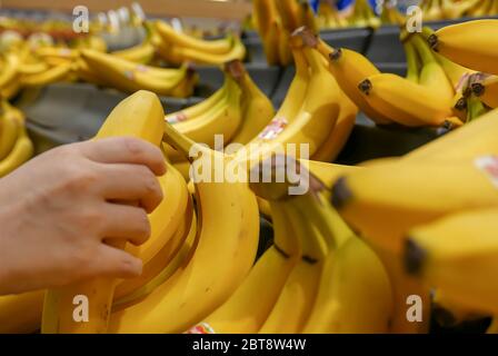 Mouvement de la main de femme cueillant des bananes à l'intérieur du magasin supérieur Banque D'Images