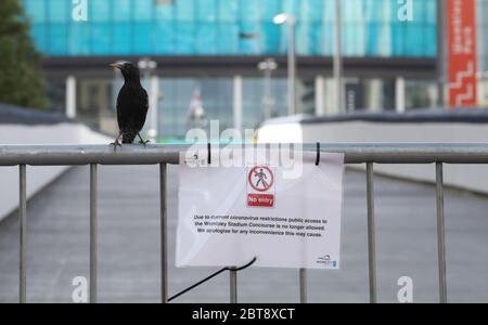 Sixième jour de Lockdown, à Londres. Un regard étoilé se trouve à côté d'un panneau indiquant que le hall autour du stade est fermé. Aujourd'hui, la finale de la coupe Emirates FA aurait été jouée au stade Wembley, mais en raison de la pandémie du coronavirus, elle a été reportée. Même s'il y a eu une levée partielle de l'isolement, il y a encore beaucoup de magasins qui doivent rester fermés, y compris les barbiers et les salons de coiffure, mais plus de gens semblent être dehors et sur les rues et dans la campagne. COVID-19 coronavirus LockDown, stade Wembley, Wembley, Londres, Royaume-Uni, le 23 mai 2020 Banque D'Images