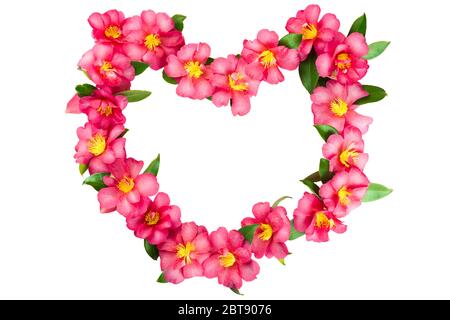 Cadre en forme de coeur fait de fleurs tropicales roses. Isolé sur fond blanc. Banque D'Images