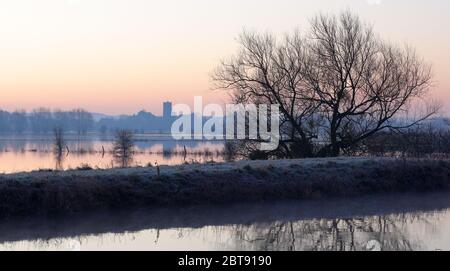 Vue sur Muchelney du perroquet de rivière inondé près de Langport Banque D'Images