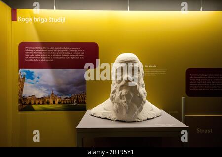 Statue de Charles Darwin (1809-1882) au Musée slovène d'Histoire naturelle de Ljubljana, Slovénie Banque D'Images