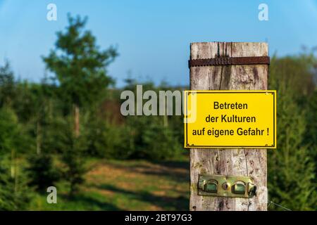 Panneau d'avertissement jaune avec texte allemand « entrer dans les cultures à vos risques » devant les cultures de conifères par un beau temps en Allemagne. Protection des forêts. Banque D'Images