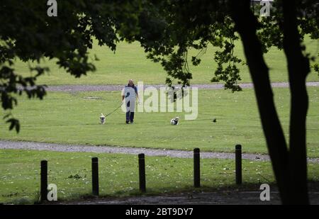 Un marcheur de chiens fait leur chemin dans le parc Callendar à Falkirk. Banque D'Images