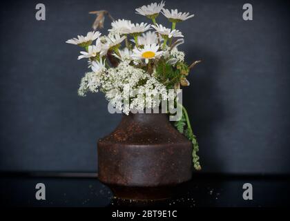 Bouquet de belle camomille dans un vase en argile isolé sur fond bleu foncé Banque D'Images