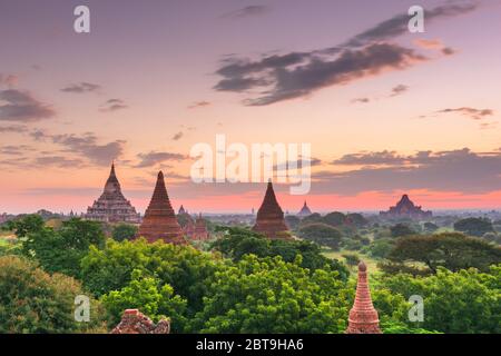 Bagan, les temples du Myanmar dans la zone archéologique au crépuscule. Banque D'Images