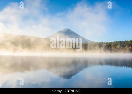 Saiko Lake, le Japon sur la rive avec Mt. De Fuji. Banque D'Images