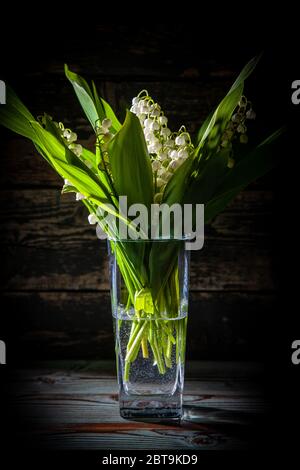 bouquet de printemps de lys de la vallée en verre, tiré dans une clé sombre Banque D'Images