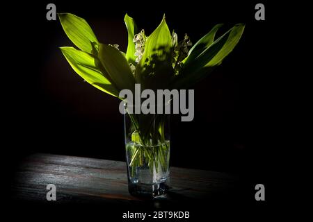 bouquet de printemps de lys de la vallée en verre, tiré dans une clé sombre Banque D'Images