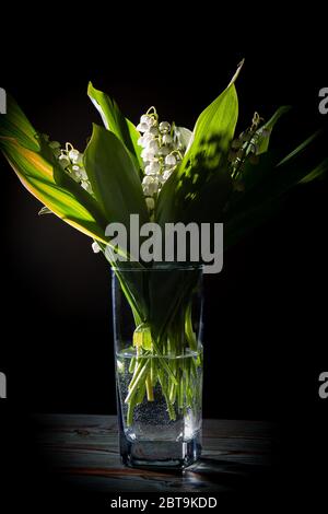 bouquet de printemps de lys de la vallée en verre, tiré dans une clé sombre Banque D'Images