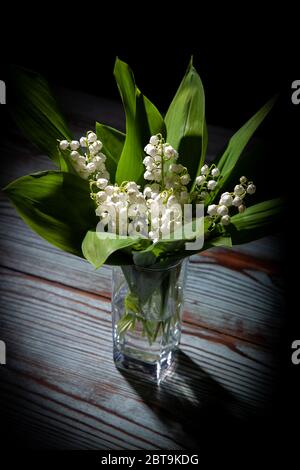 bouquet de printemps de lys de la vallée en verre, tiré dans une clé sombre Banque D'Images