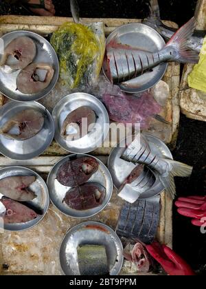 Vue de dessus sur un assortiment de poissons lâches à vendre sur un marché de poissons, marché de Hue, Vietnam Banque D'Images