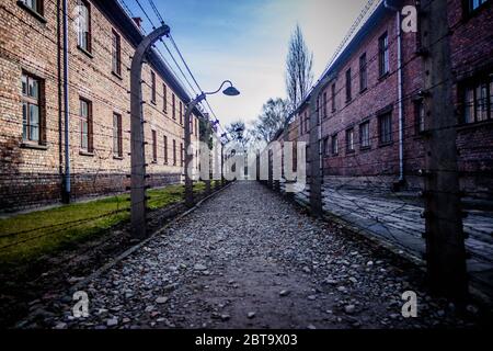 Auschwitz Birkenau Banque D'Images