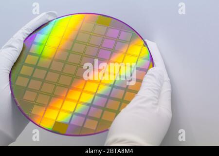 Mains en gants blancs tenant une galette de silicium avec micropuces sur fond blanc.format de bannière. Banque D'Images