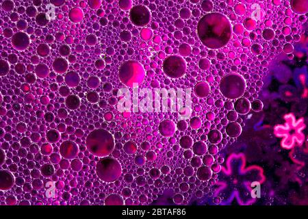 une superbe photo de haut de bulles d'eau liquide, photo macro Banque D'Images