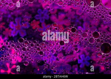 une superbe photo de haut de bulles d'eau liquide, photo macro Banque D'Images