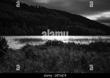 Une image automnale en noir et blanc du Loch Pityoulish dans le parc national de Cairngorm, dans le nord de l'Écosse. 20 octobre 2018. Banque D'Images