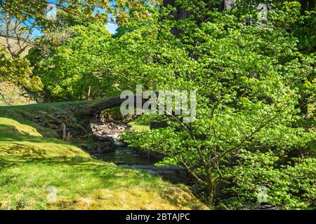 Un été trois image HDR de pont d'apackhorse sous Dent Head Viaduct sur le règlement à Carlise Railway, Cumbria, Angleterre. 21 mai 2020 Banque D'Images