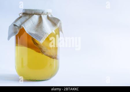 Kombucha UNE boisson probiotique naturelle saine dans un pot en verre. Sur un fond blanc avec espace pour le texte Banque D'Images